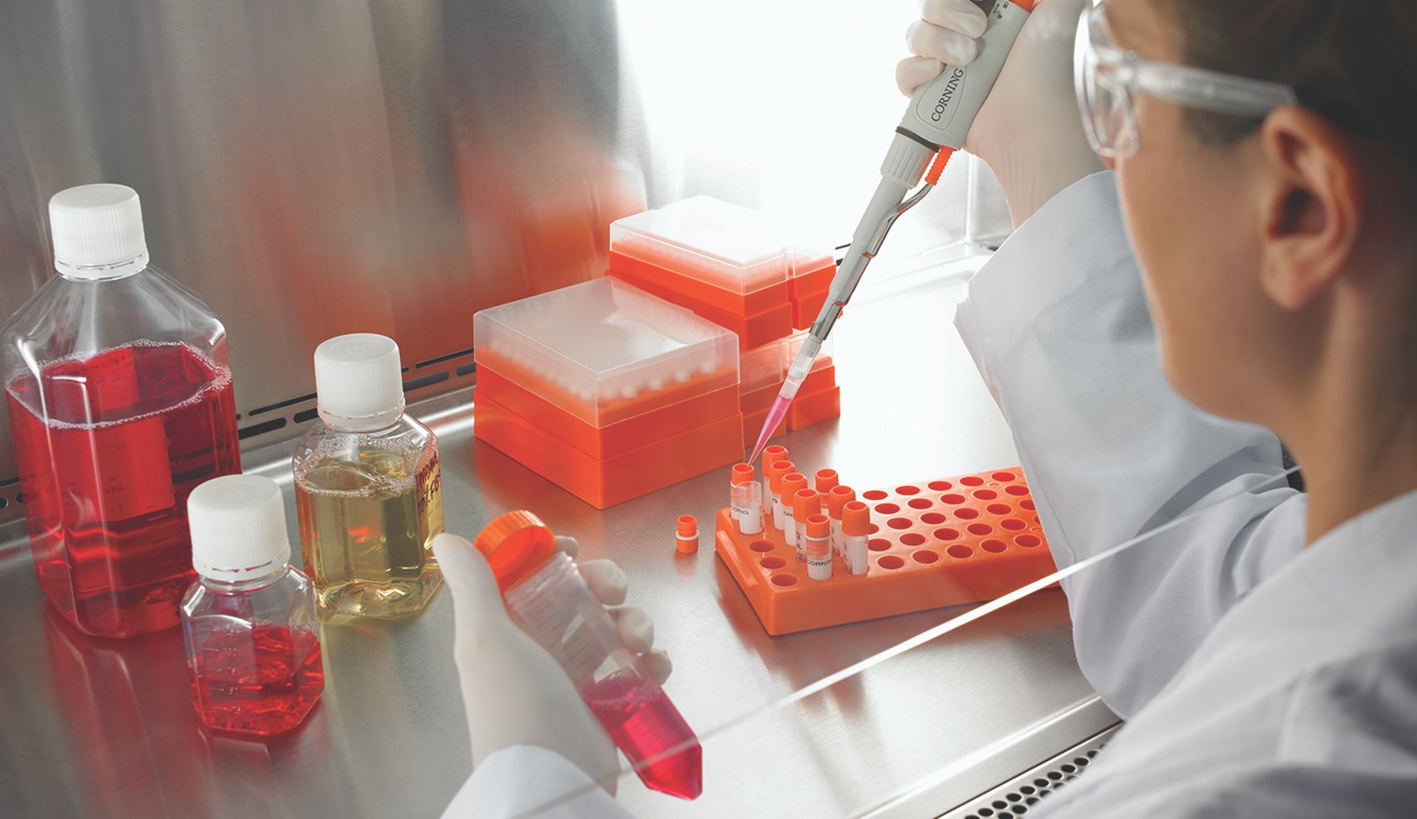 Cell Growth Supplements and Reagents Cell Culture Supplements and